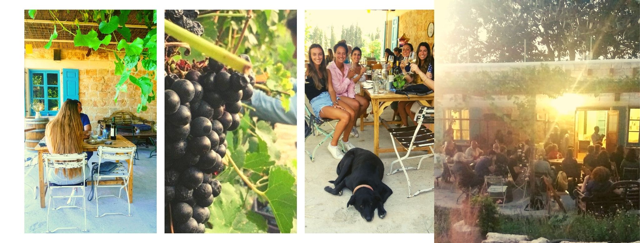 כשמגיעים לאבן הראשה, יש... - יקב אבן הראשה-Keystone Winery | Facebook