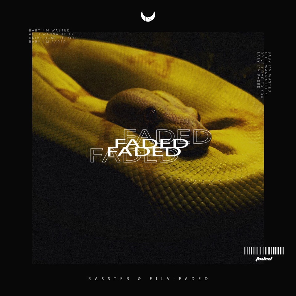 EDM Releases - Rasster X FILV - Faded Label: Self-Release.