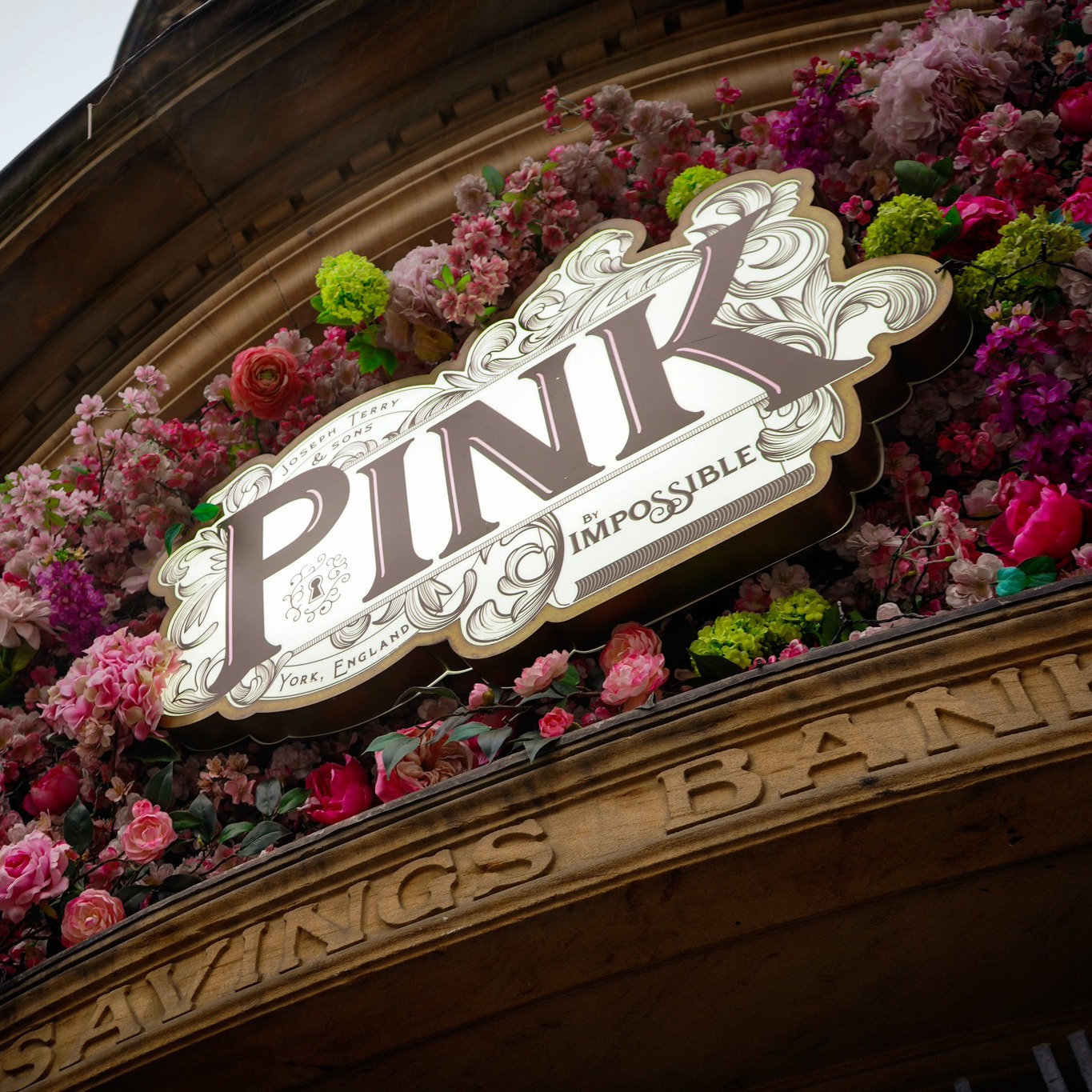 PINK - York | York
