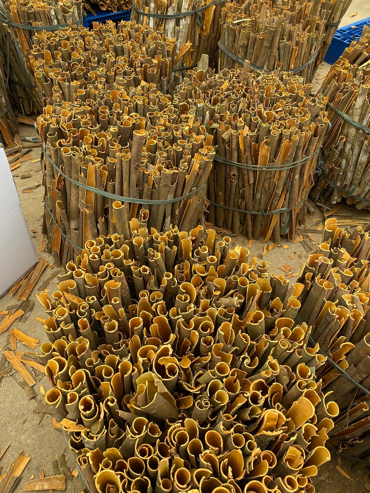 Tuan Minh Trading & Production Co., ltd