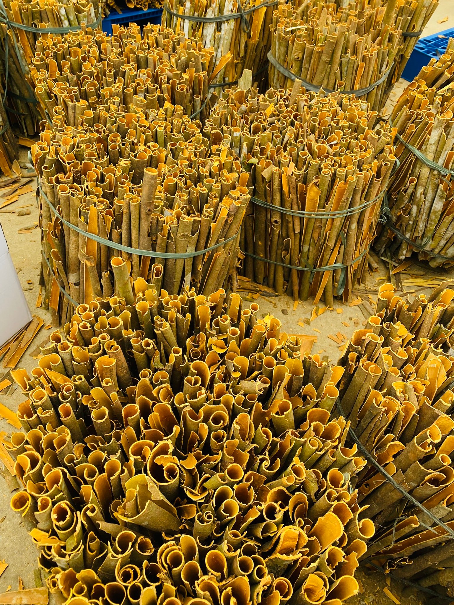 Tuan Minh Trading & Production Co., ltd