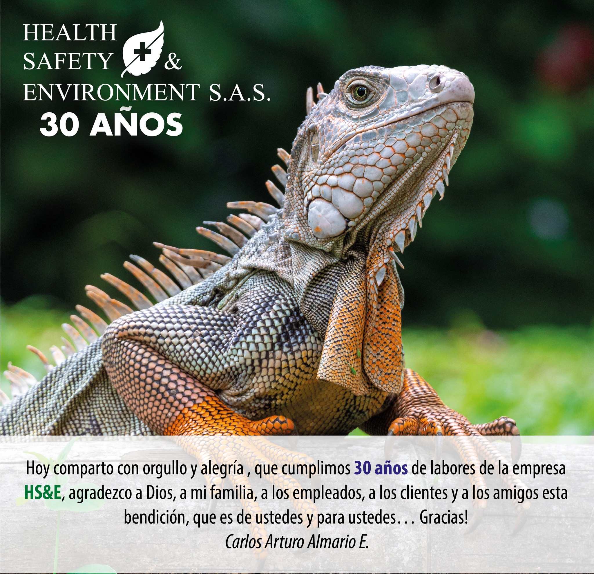 Health Safety And Environment SAS | Bogotá