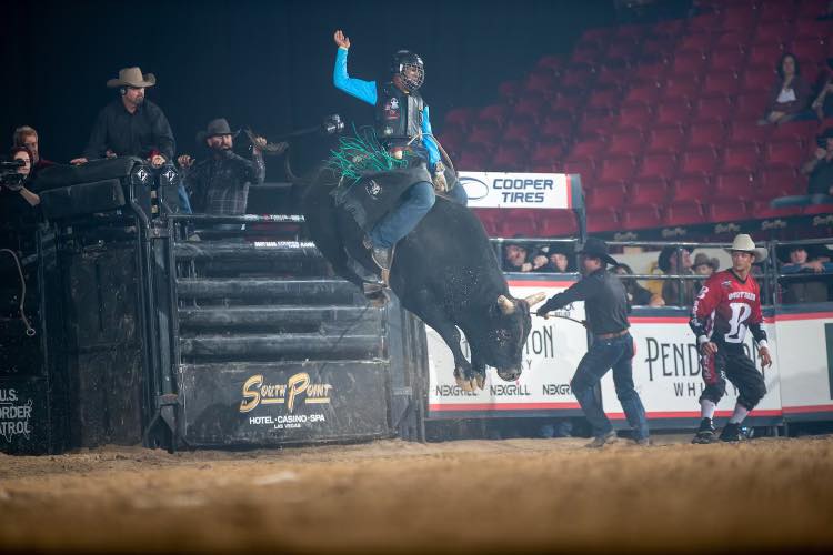 US Bucking Bull Association - We are very excited to announce that the ...