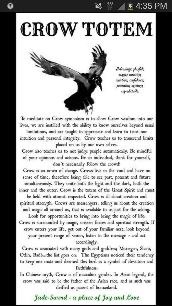 Crow Spirit Connection | De Forest WI