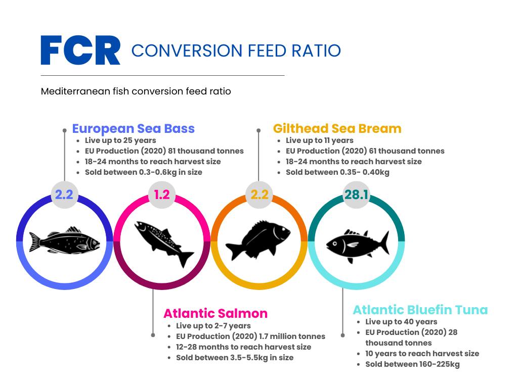 Feed Conversion Ratio (FCR) is an... - AquaBioTech Group