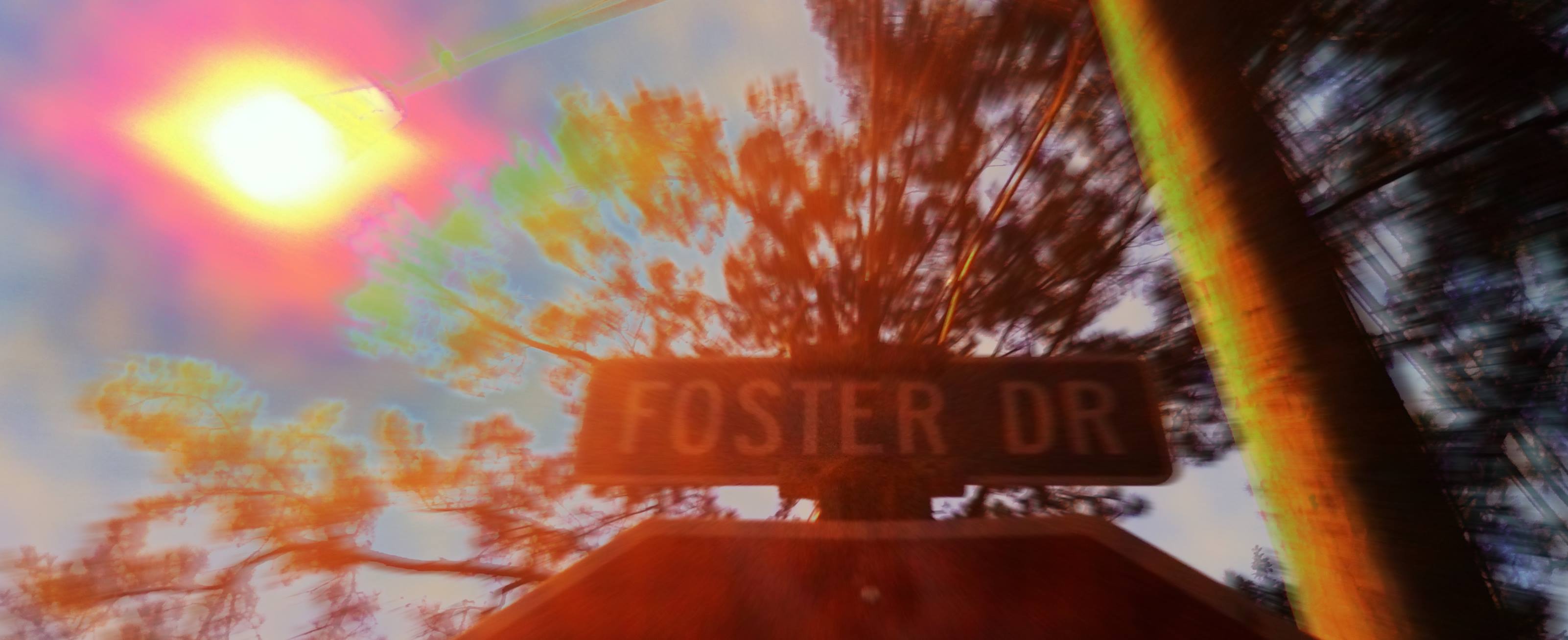 Foster Drive