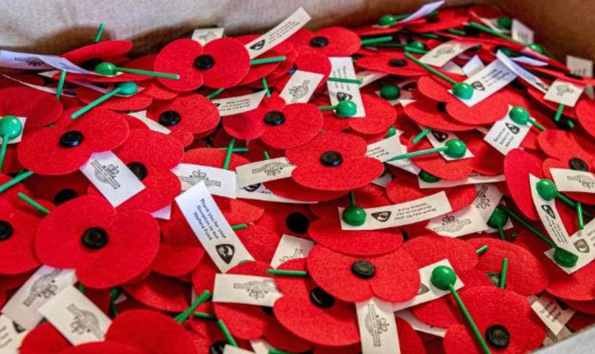 New - It's almost Poppy Day 2022 and marks 100 years since the first ...