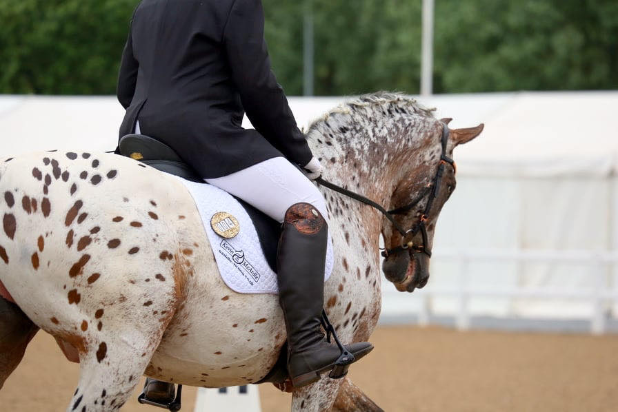 KC Riding... - KC Riding School. Supporting Kc horse rescue