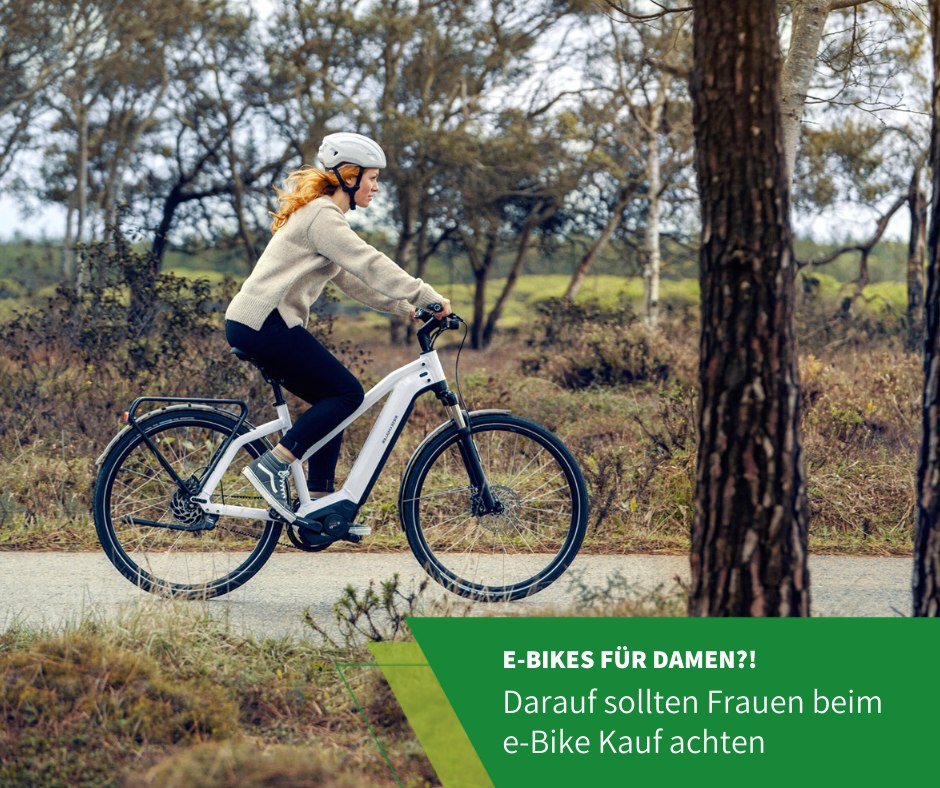 bmw e mountainbike Active Hybrid E-Bike Generalüberholt aus zweiter Hand E-Bike – H&B Exclusive Farbe:Natur, lackiert Für Pilzesammler: So bleiben Minitaschen