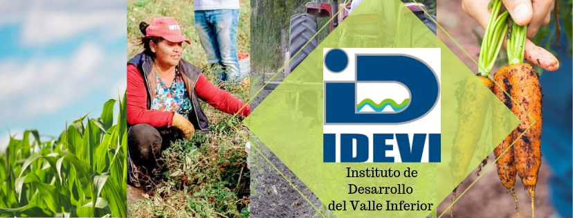 IDEVI | Viedma