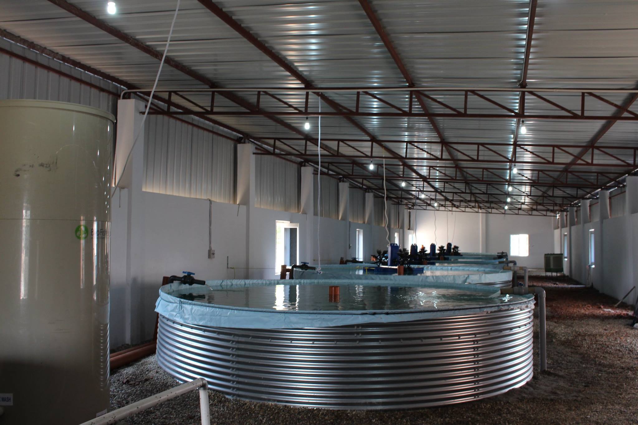 BioFishency - The First BioFishency Mini RAS was installed...