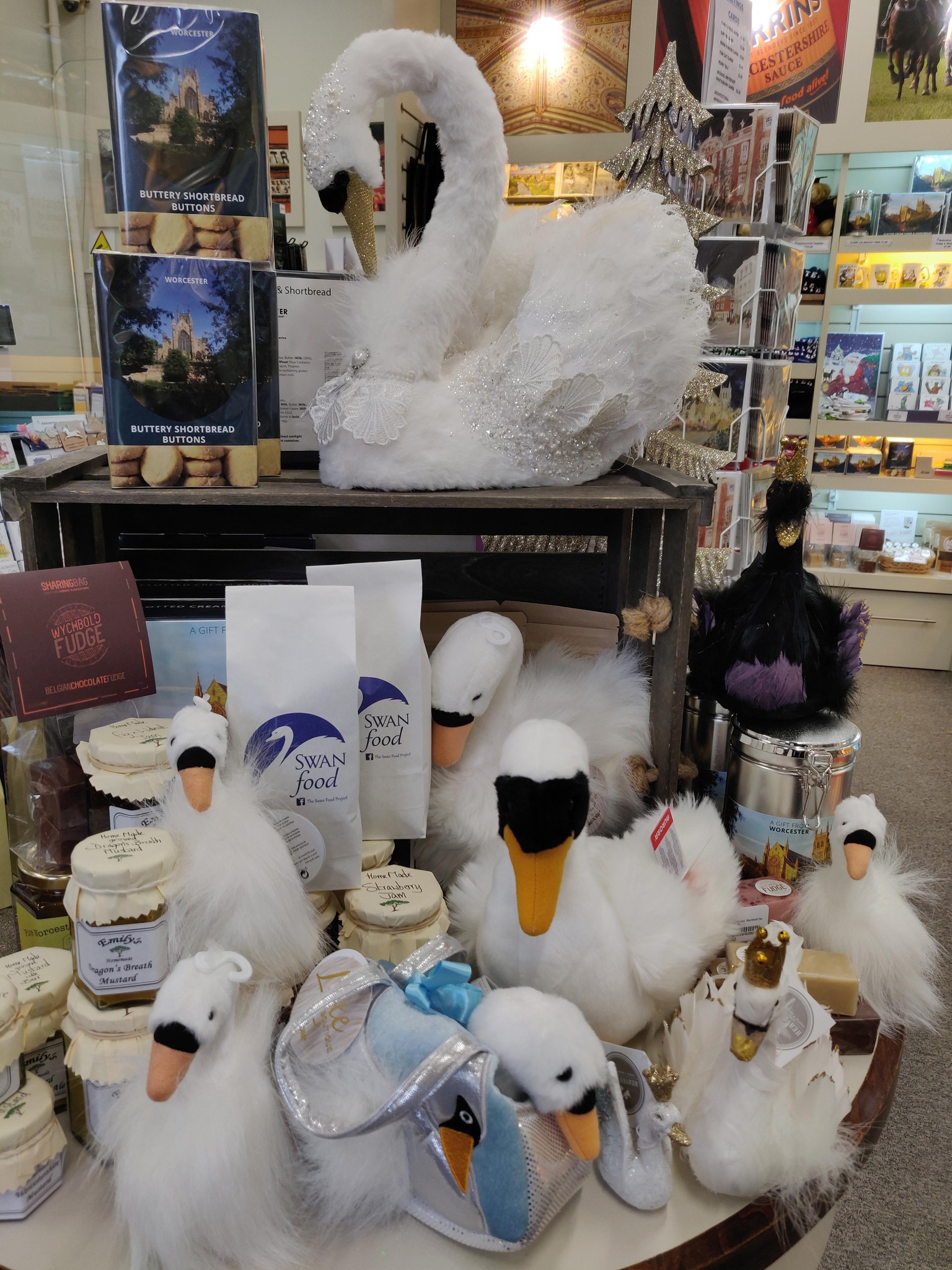 this year, be the swan (or at least carry one with you!) shop
