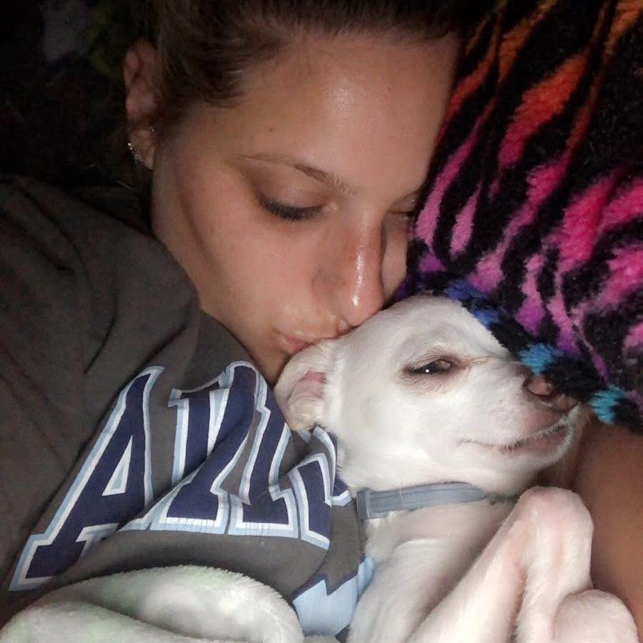 Meet Maverick!... - Queen Anne's County Animal Services | Facebook