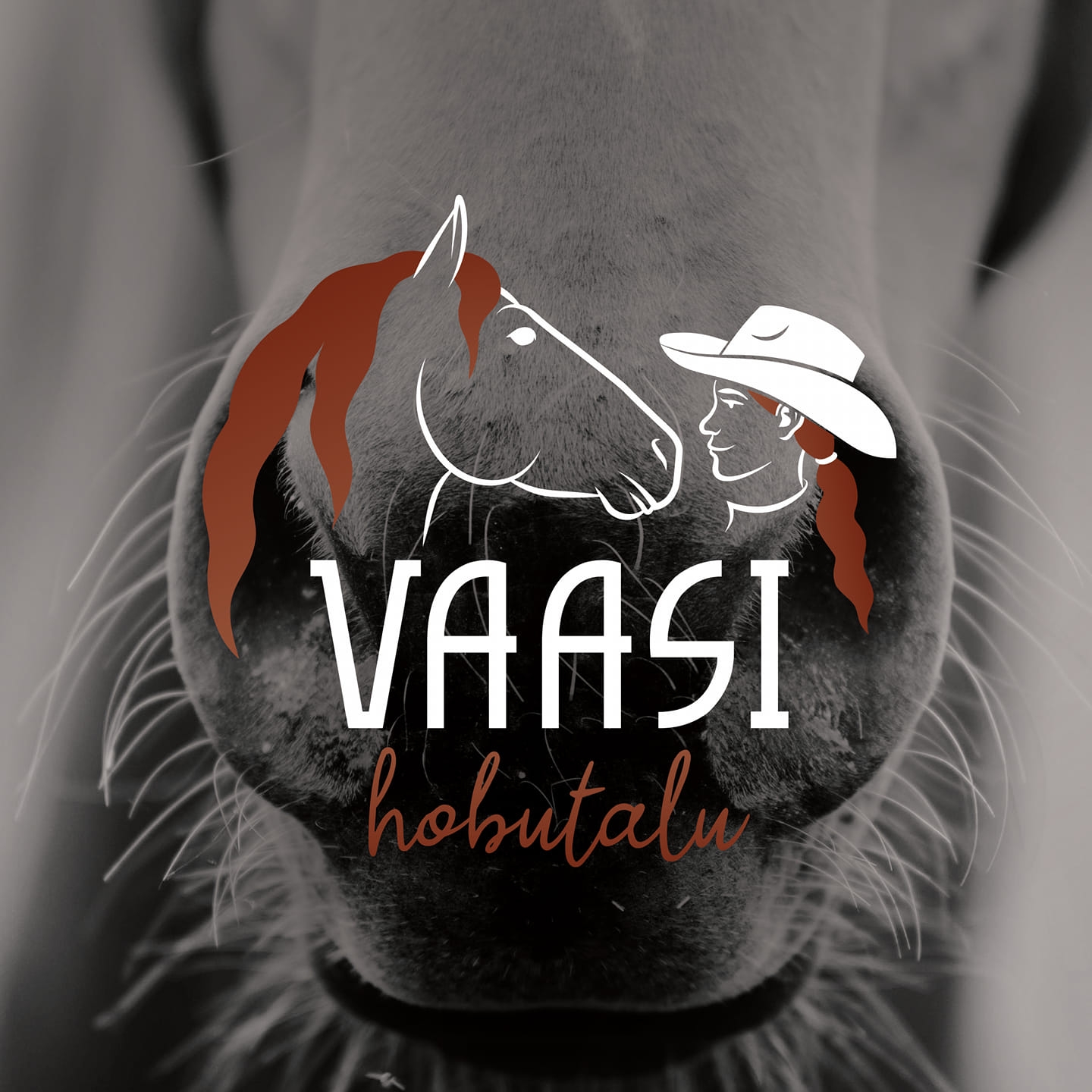 Sellist momenti näha teeb hingele head. Hobune pole vaid vahend ...