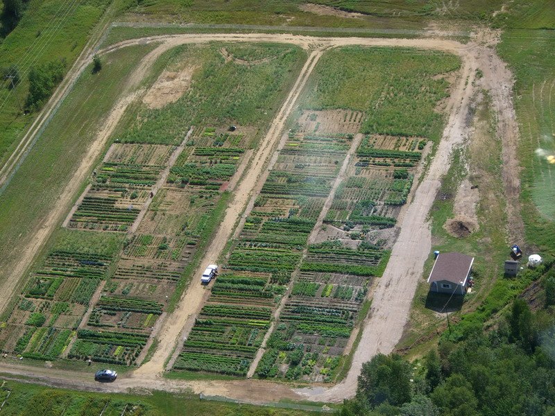 les-jardins-communautaires-de-la-trappe-dolbeau-qc