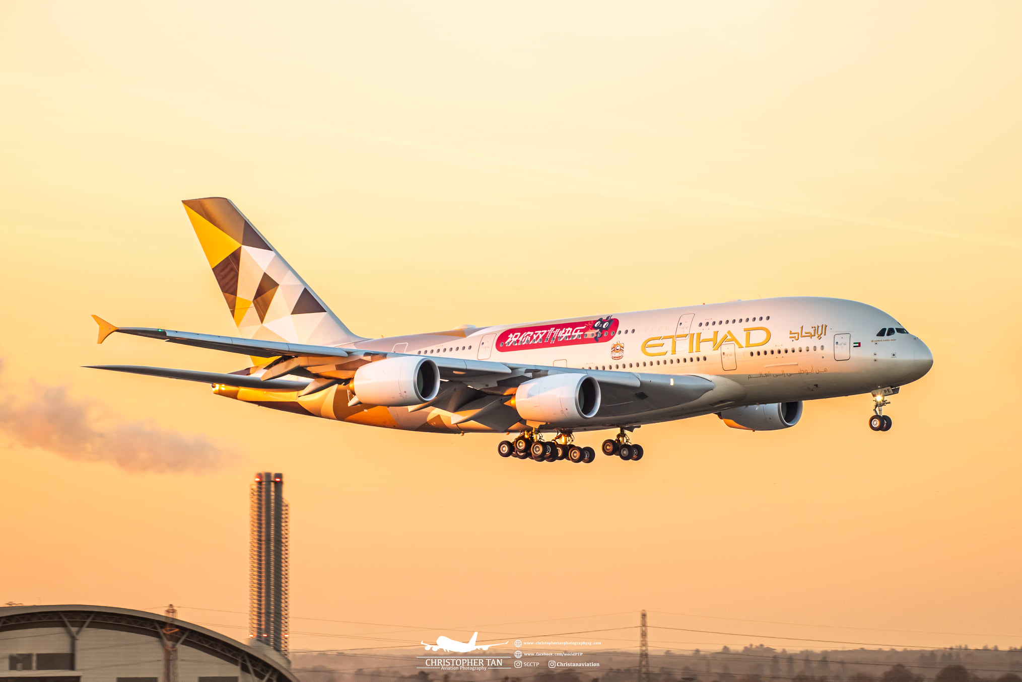 Etihad A380-800 Year of Zayed 2018 livery in MSFS