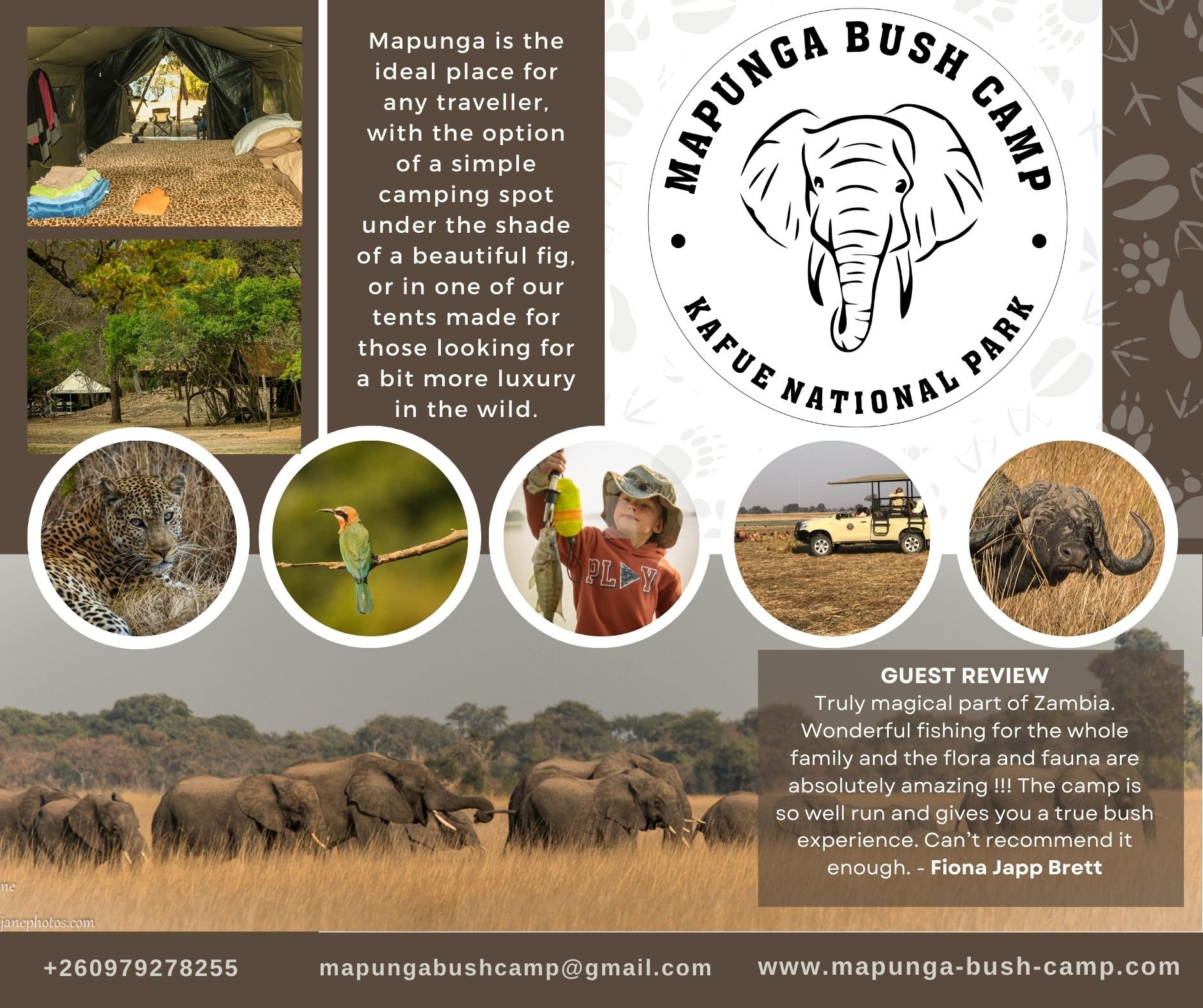 Mapunga Bush Camp is the nearest... - Mapunga Bush Camp | Facebook