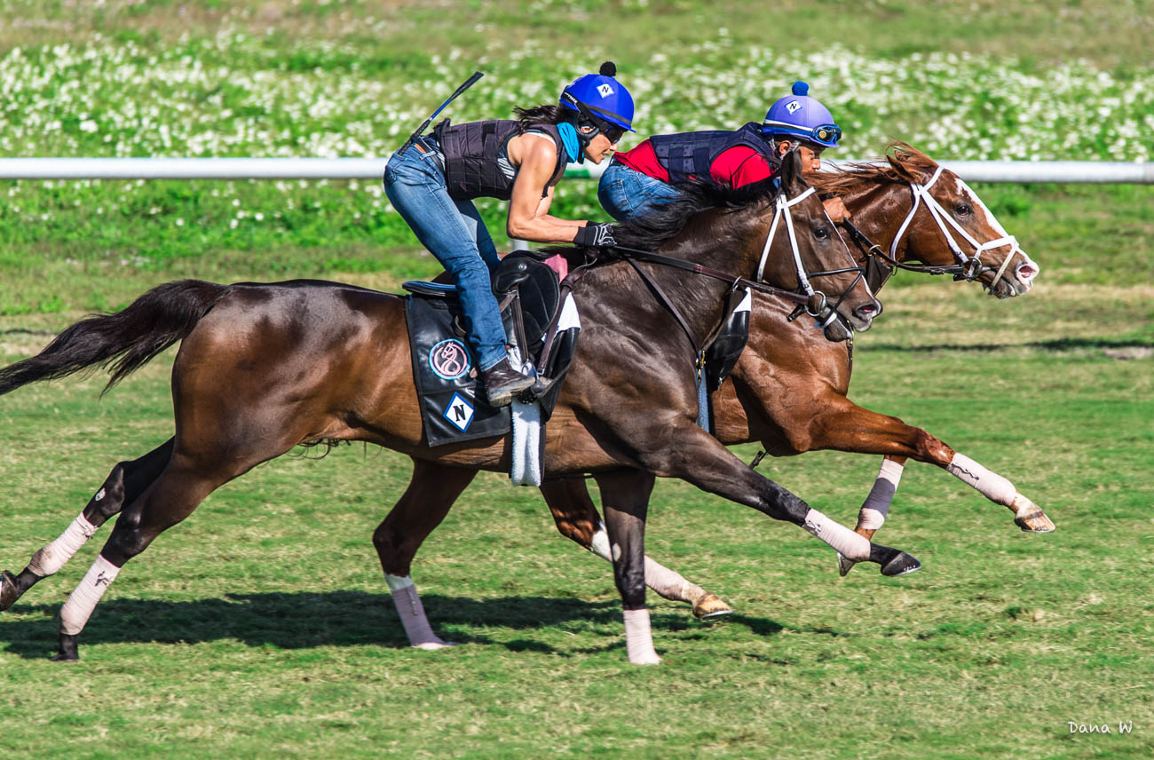 Circle Eight Ranch and Racing | Versailles KY