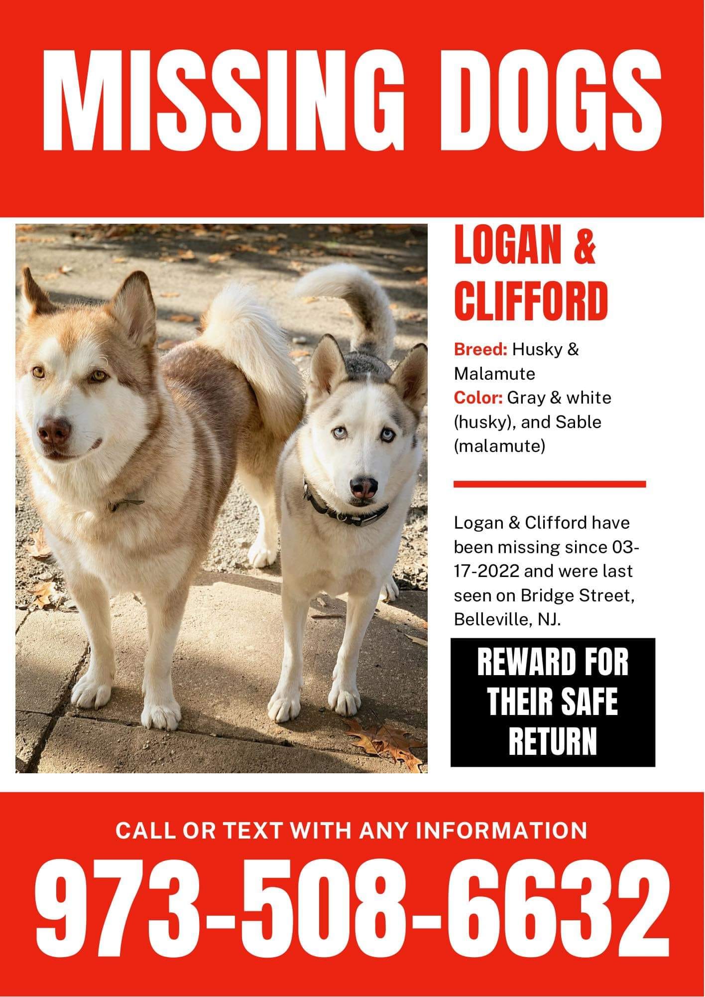 Pitty Rescue, Inc - Home