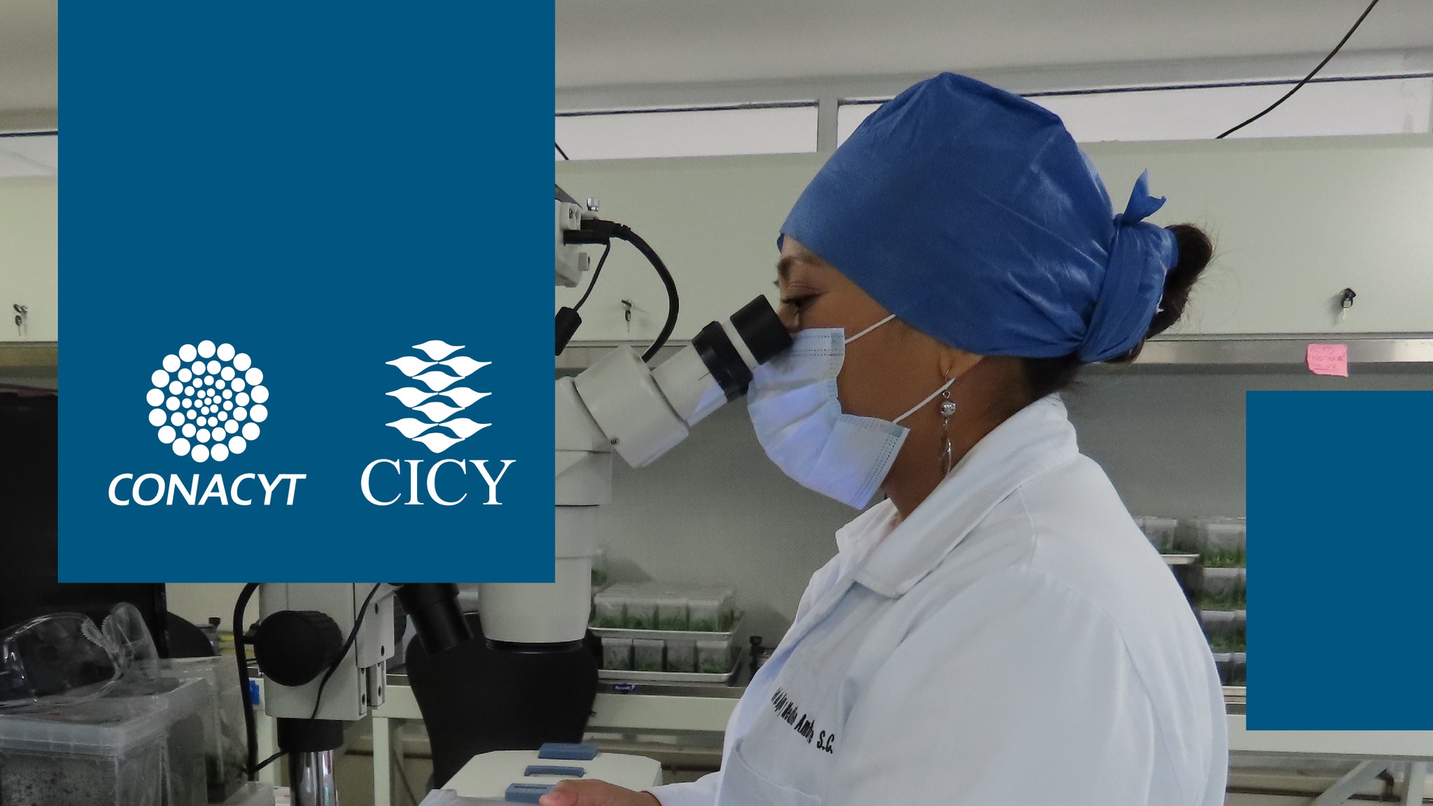 CICY - Centro de Investigación Científica de Yucatán