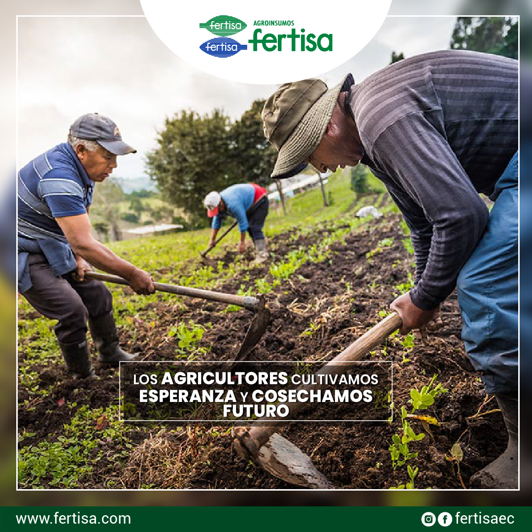 Fertisa EC - La agricultura, noble labor de cultivar la...