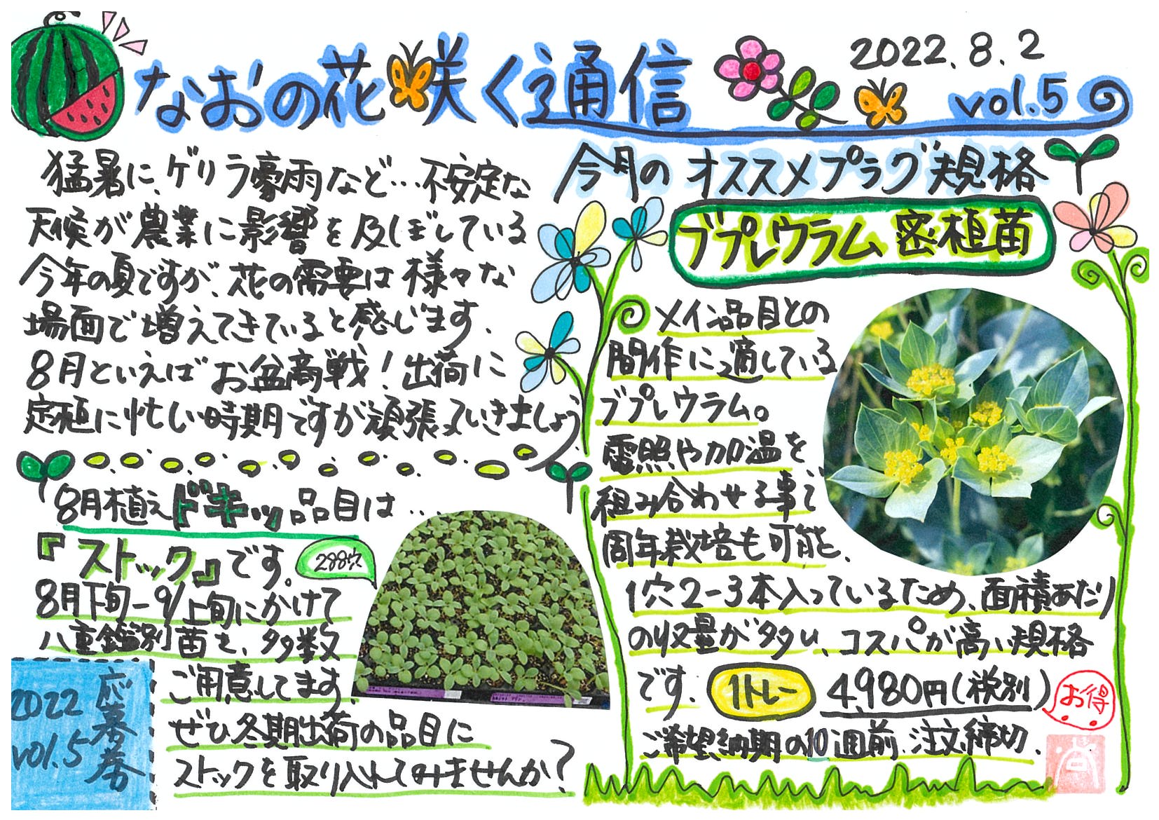 なおの花咲く通信8月号をお届けします。 さて、今月の植えドキッ品目は