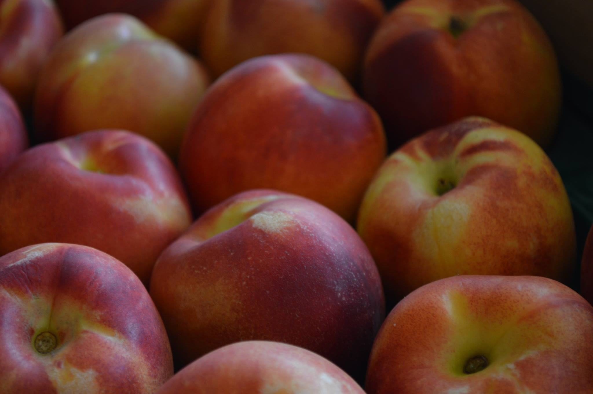 Organic - I put together 2 shares of ORGANIC PRODUCE from what was left ...
