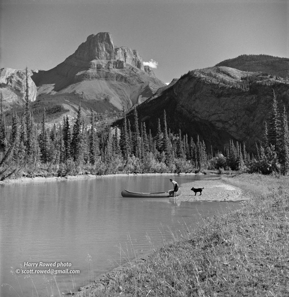 Harry Rowed Photography