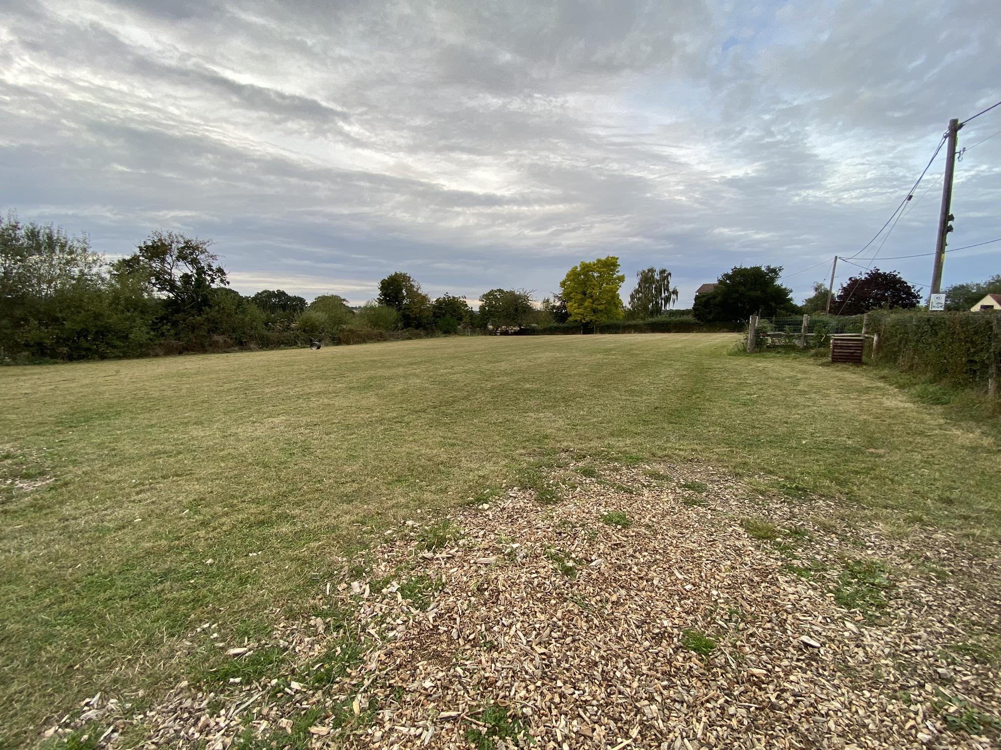 Photo inspiration: Lawn Pasture Dog Field Photo Inspiration