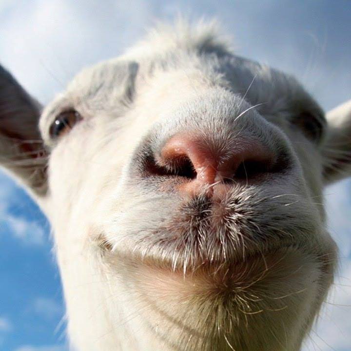 Is Far Cry 6 Too Easy?