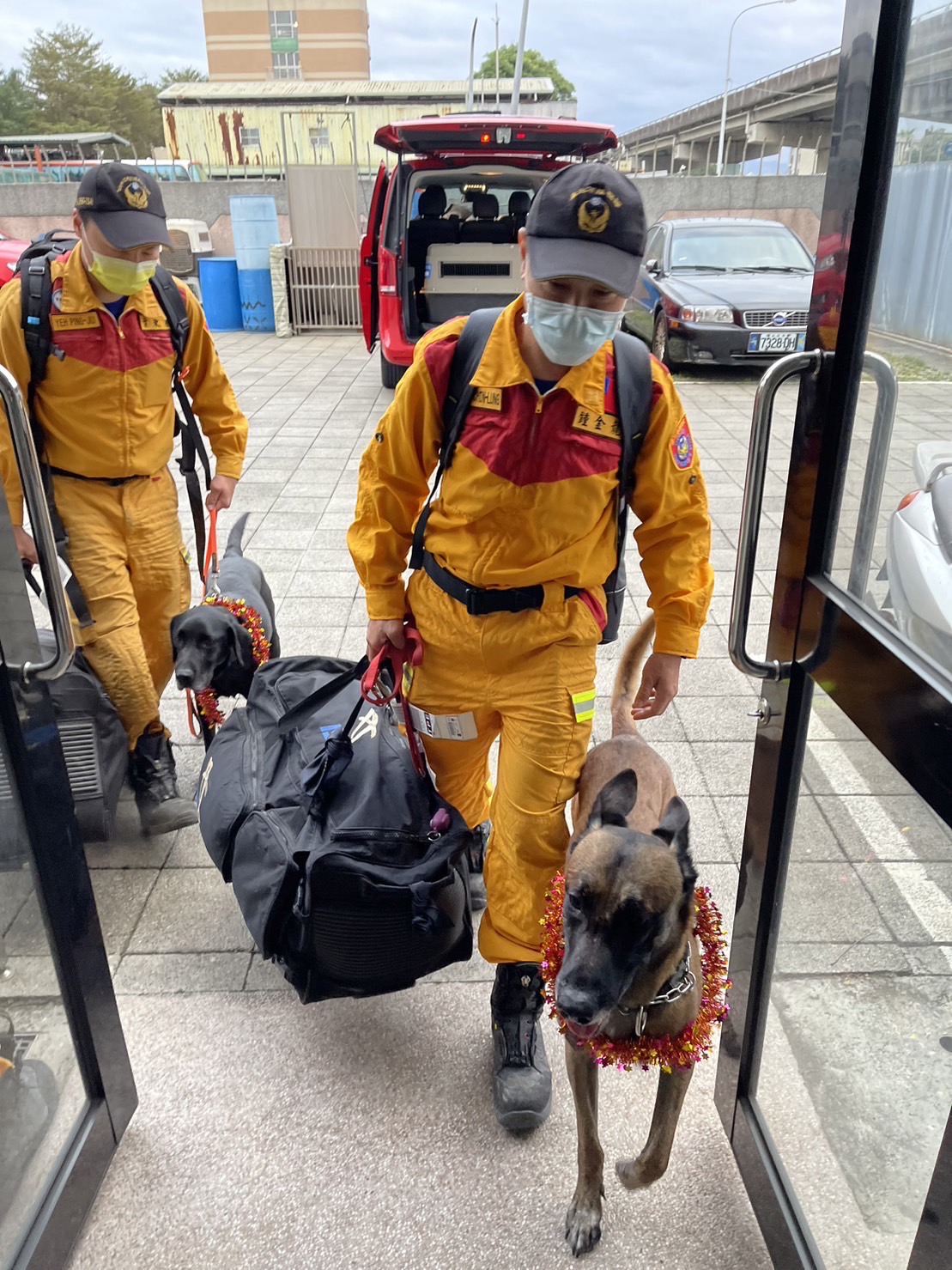 Tyfd-K9桃園搜救犬隊 - 一回到家一定要奉上大雞腿啊 ️ ️ ️ 那個光榮的花圈也太適合了吧！ 臺北市搜救隊...