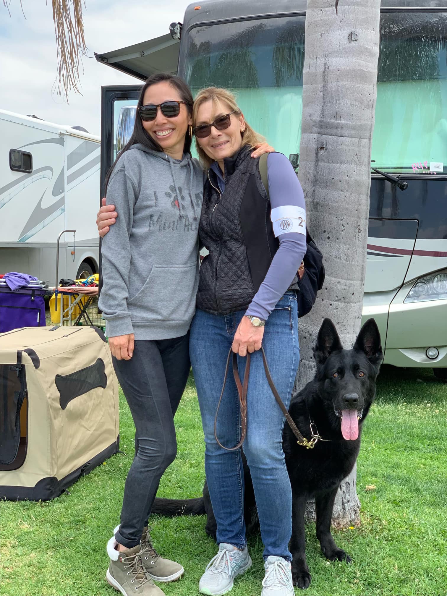 Mountain View K9 Training, Inc. | Highland CA
