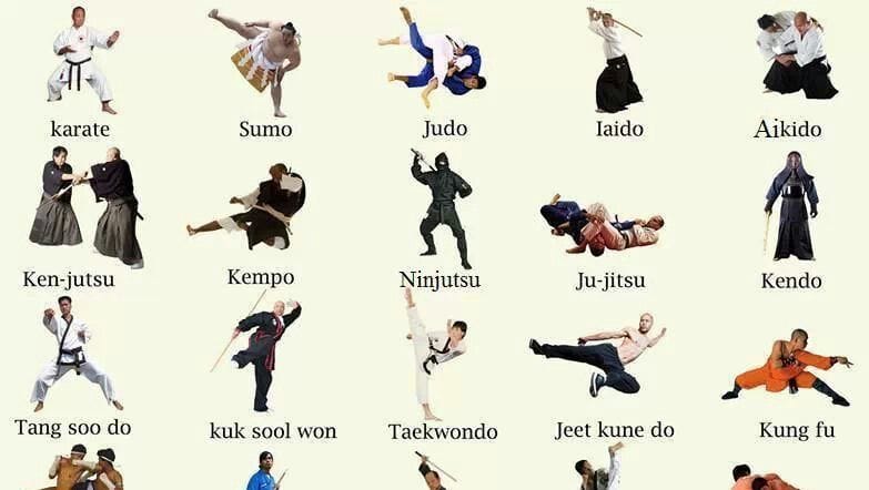 British... - British Student Taekwondo Federation BSTF