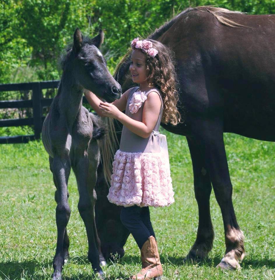 Great meeting with sound... - Cat Enright Mystery Horsewoman | Facebook