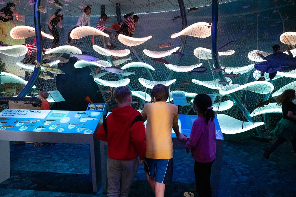 Our newest permanent... - Rochester Museum & Science Center | Facebook