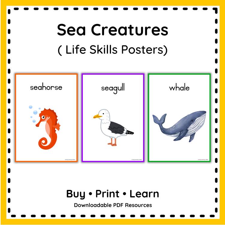 💥 Sea Creatures 💥 Buy online... - The Early Learning Toolbox | Facebook