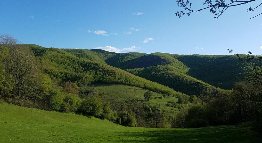 Fshati Hanrovc