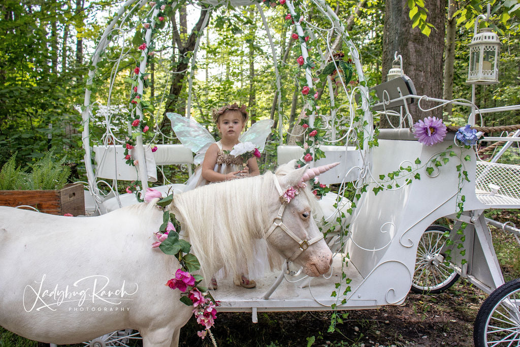 Ladybug Ranch LLC | Madison OH