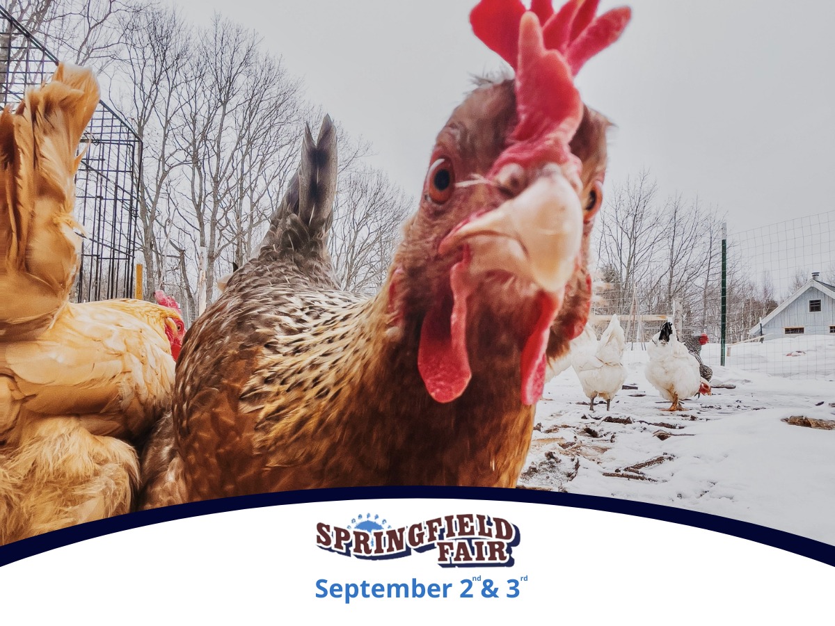 The Springfield Fair - We are celebrating 172 years of colorful ...