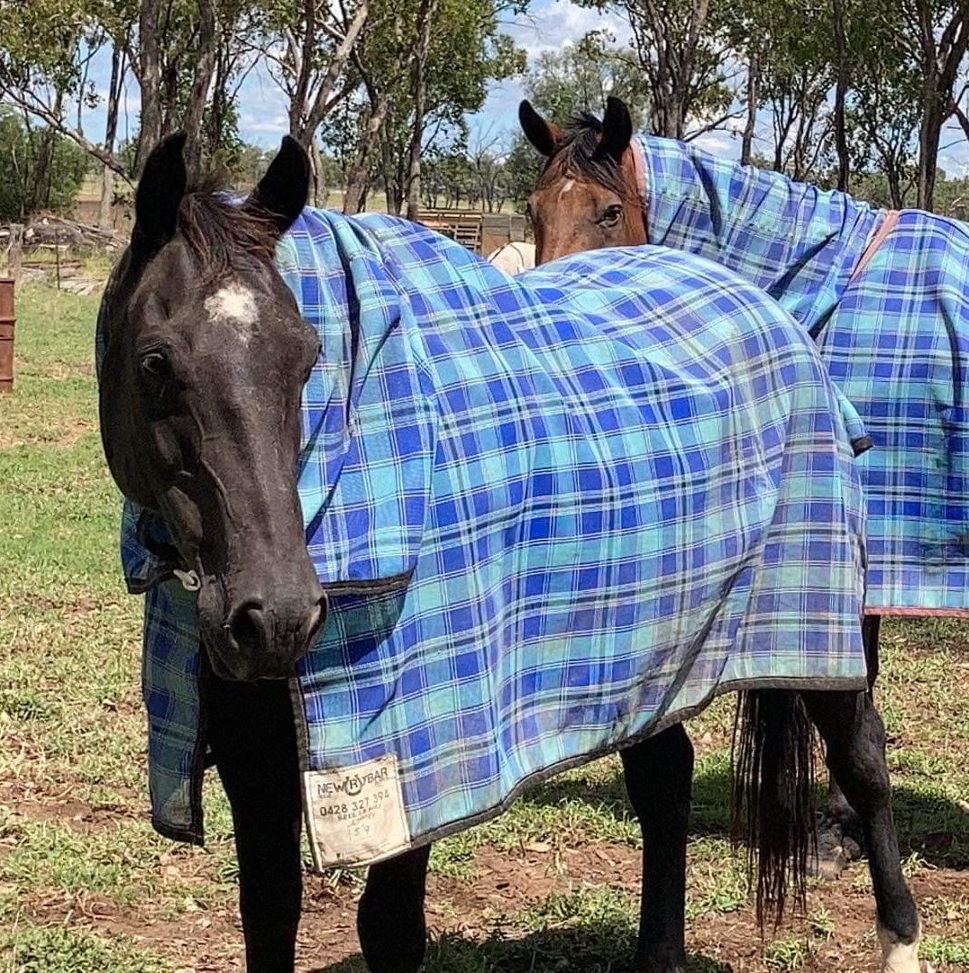 Newrybar Rugs | Yuleba QLD