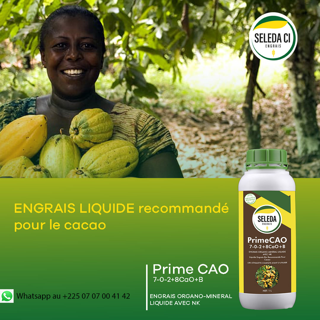 📣 Planteurs de CACAO Utilisez... - Seleda Côte d'Ivoire | Facebook