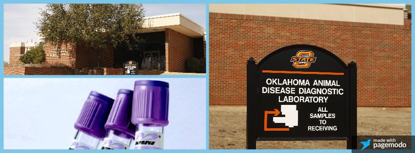 This week, we honor the... - OSU Veterinary Medical Hospital | Facebook