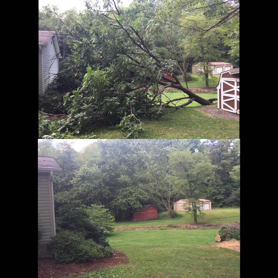Brunner's Tree Service | New Kensington PA