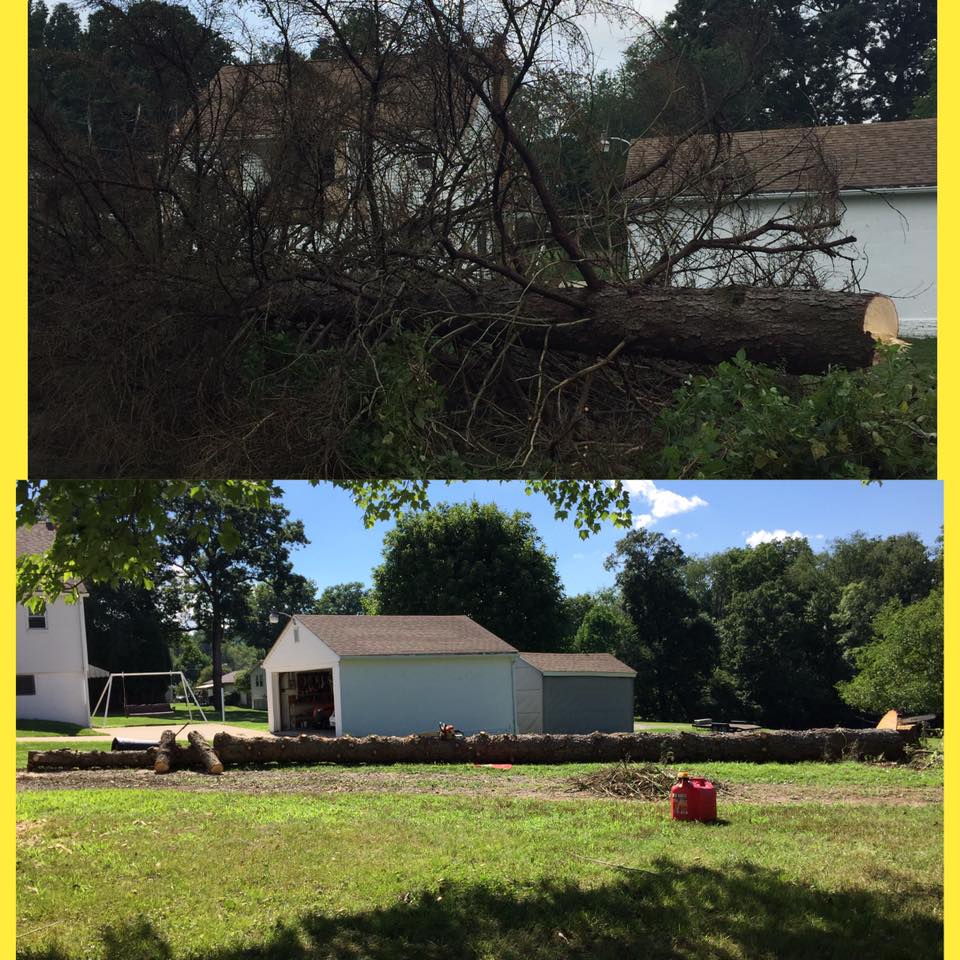 Brunner's Tree Service | New Kensington PA