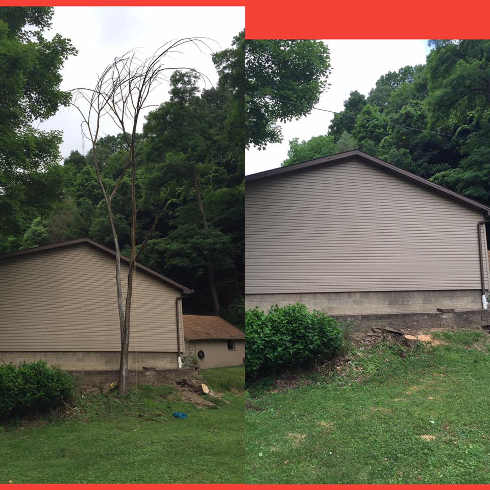 Brunner's Tree Service | New Kensington PA
