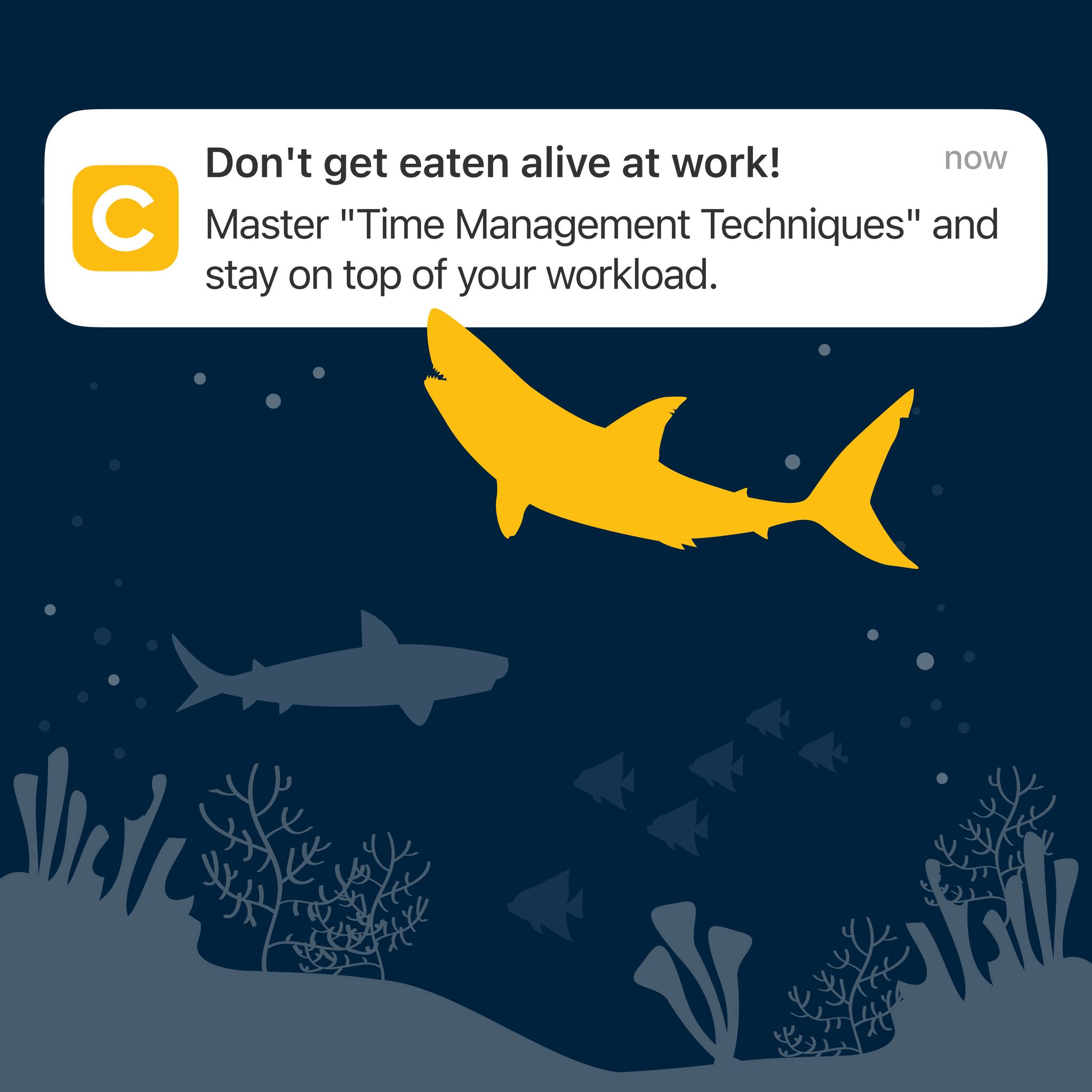Coach Microlearning