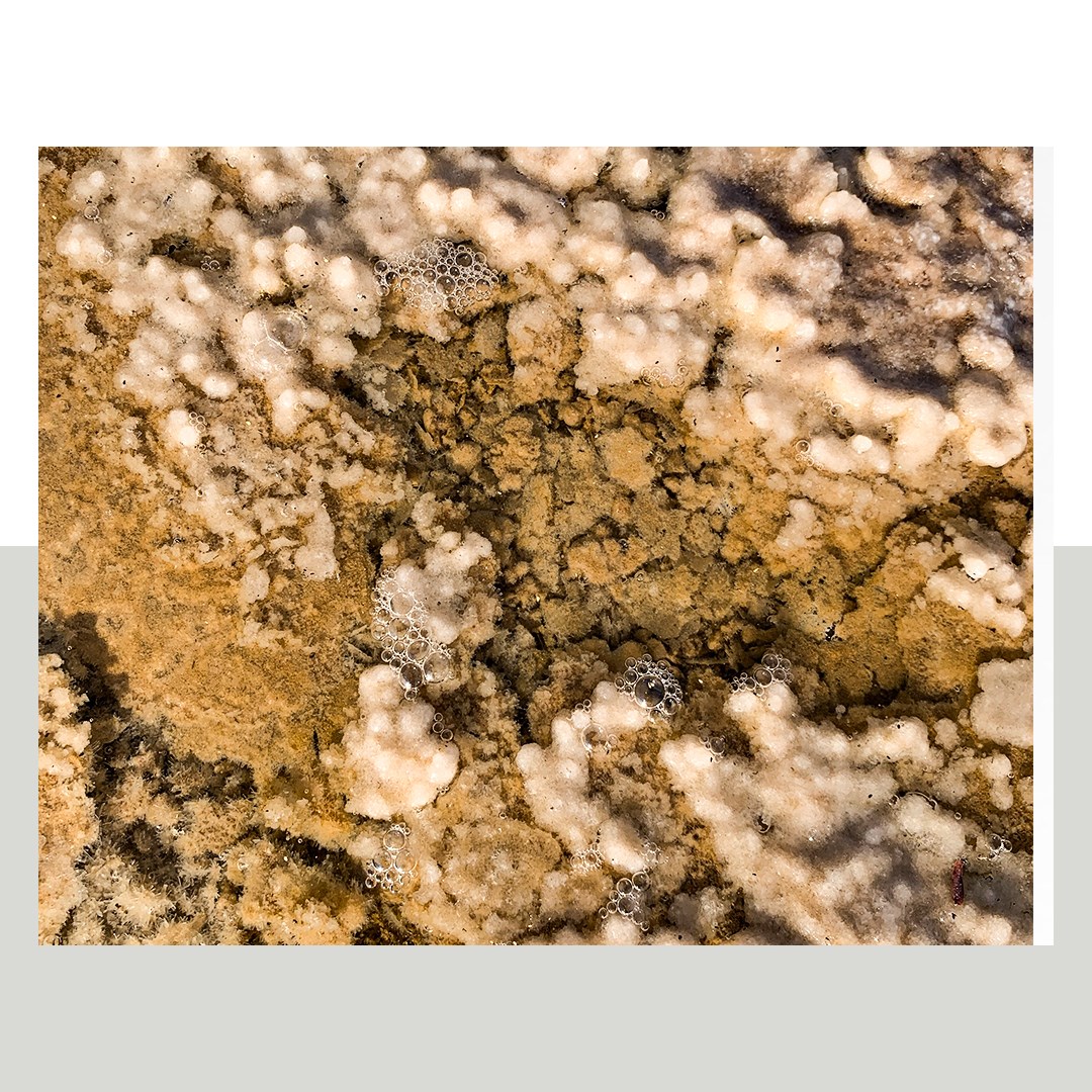 The UAE is home to one of the largest and most comprehensive natural ...