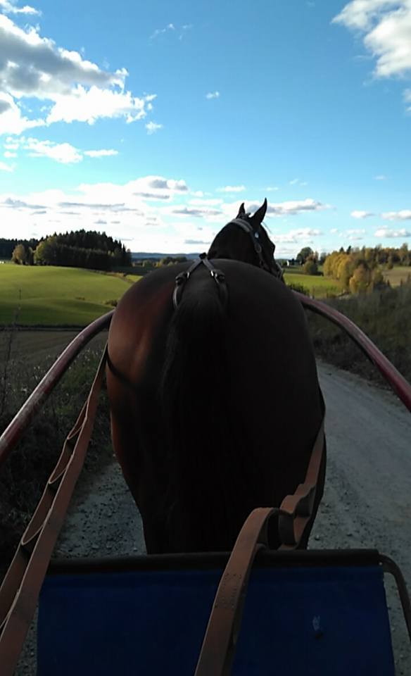 August Brochmann og Vaya Con Dios fikk plassering i Drammen Spring Tour ...