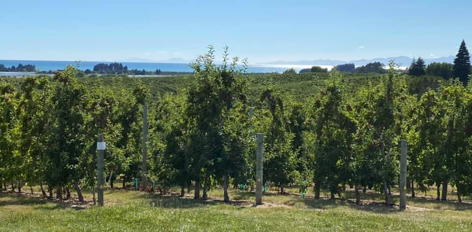 Fern Ridge Fresh | Hastings