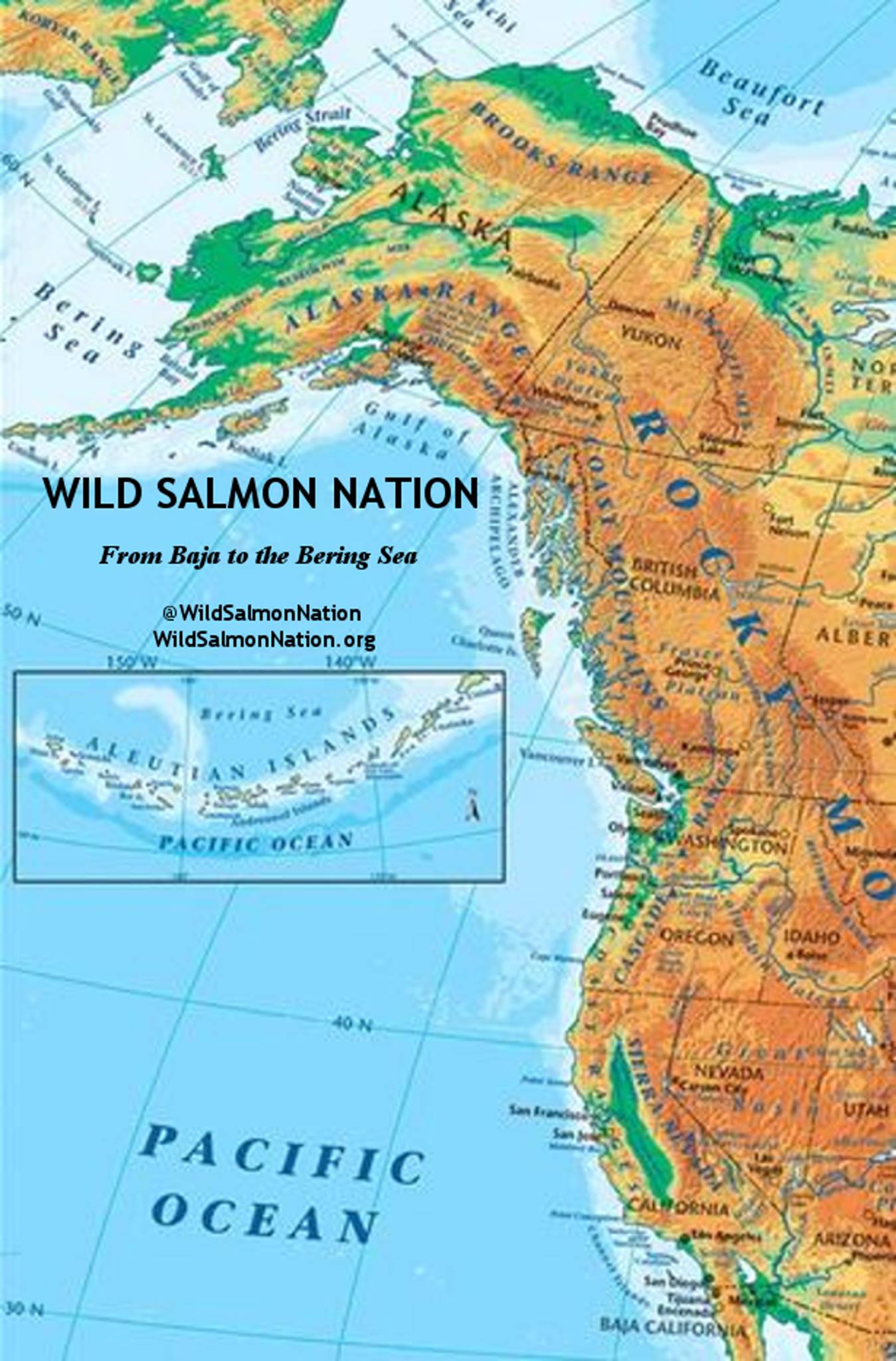 Alaska Fjordlines - The legendary Haines Harbor, home port of the ...